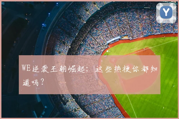 WE逆袭王朝崛起：这些热梗你都知道吗？