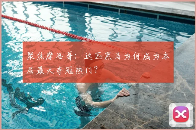 聚焦摩洛哥：这匹黑马为何成为本届最大夺冠热门？