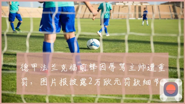 德甲法兰克福前锋因辱骂主帅遭重罚，图片报披露2万欧元罚款细节