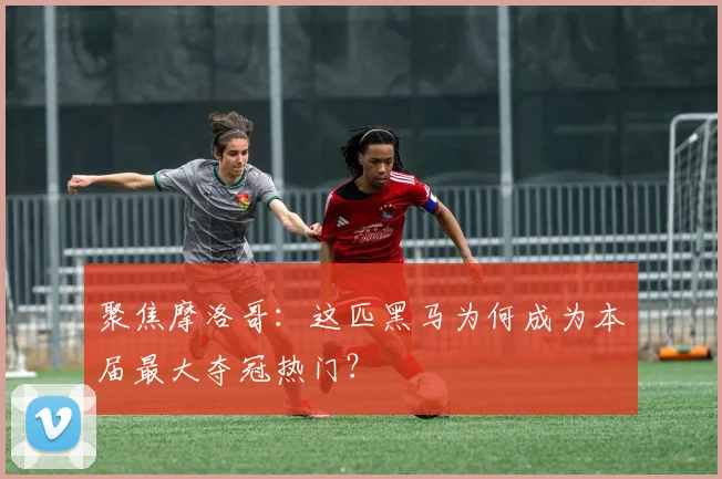 聚焦摩洛哥：这匹黑马为何成为本届最大夺冠热门？